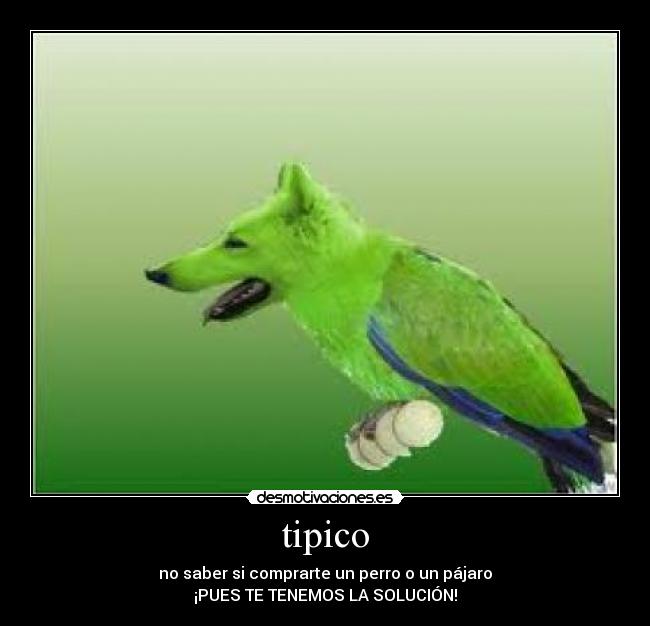 tipico -
