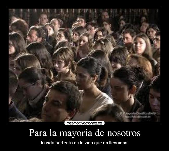 carteles alex desmotivaciones