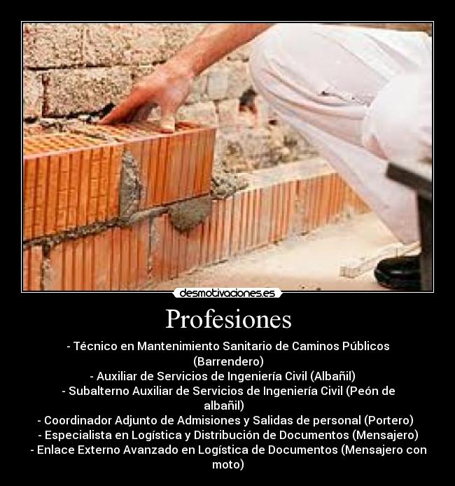 Profesiones -
