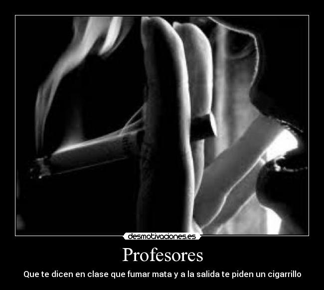 Profesores - 