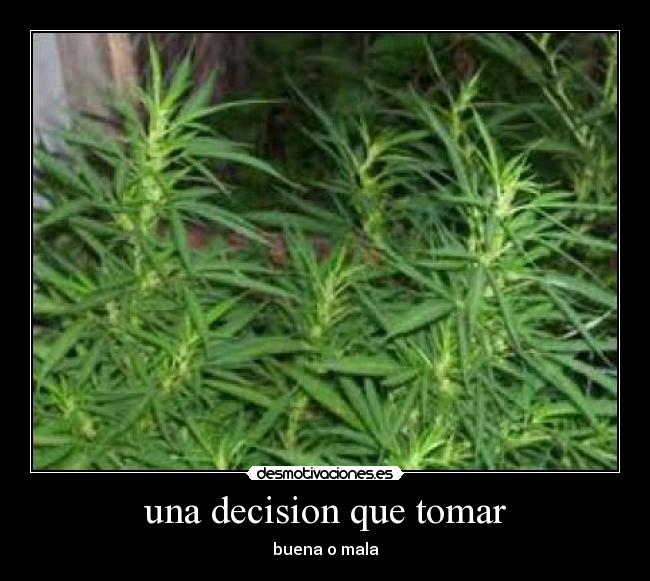 una decision que tomar - buena o mala