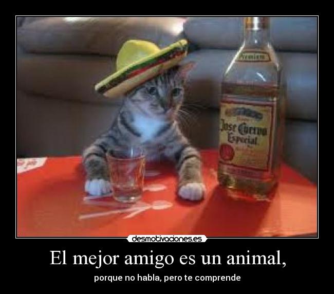 carteles aaa desmotivaciones