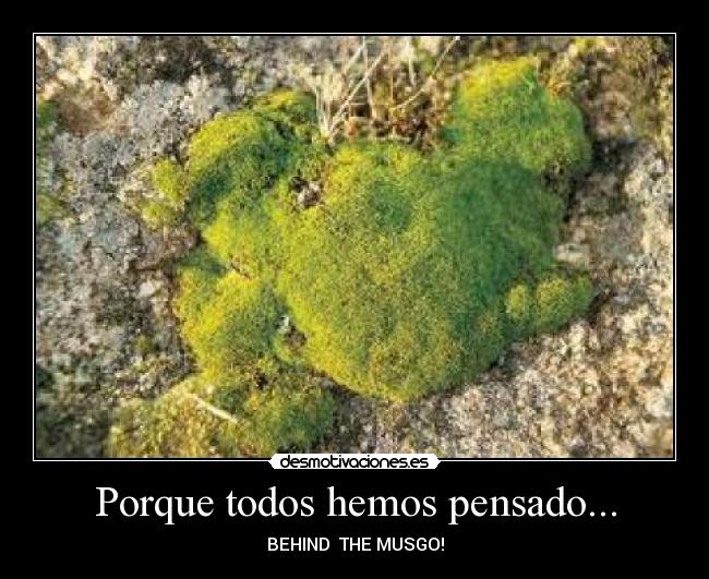 Porque todos hemos pensado... -