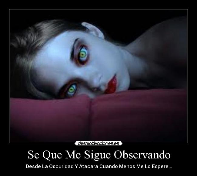 Se Que Me Sigue Observando - Desde La Oscuridad Y Atacara Cuando Menos Me Lo Espere...