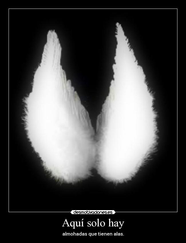 Aquí solo hay - almohadas que tienen alas.
