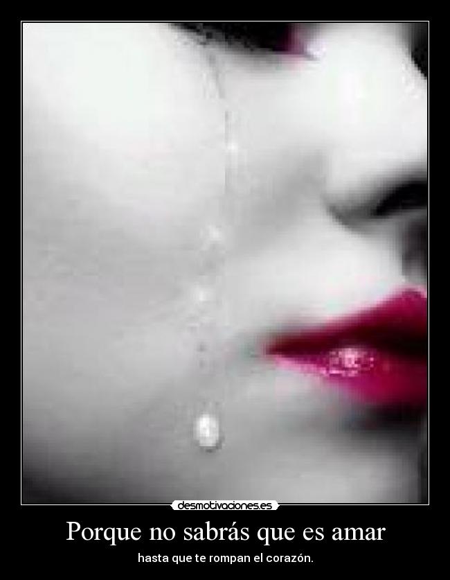 Porque no sabrás que es amar - 