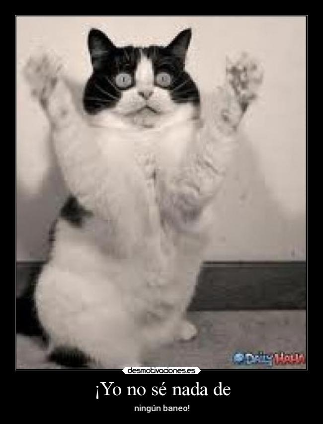 ¡Yo no sé nada de -