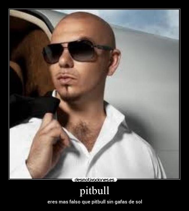 pitbull - eres mas falso que pitbull sin gafas de sol