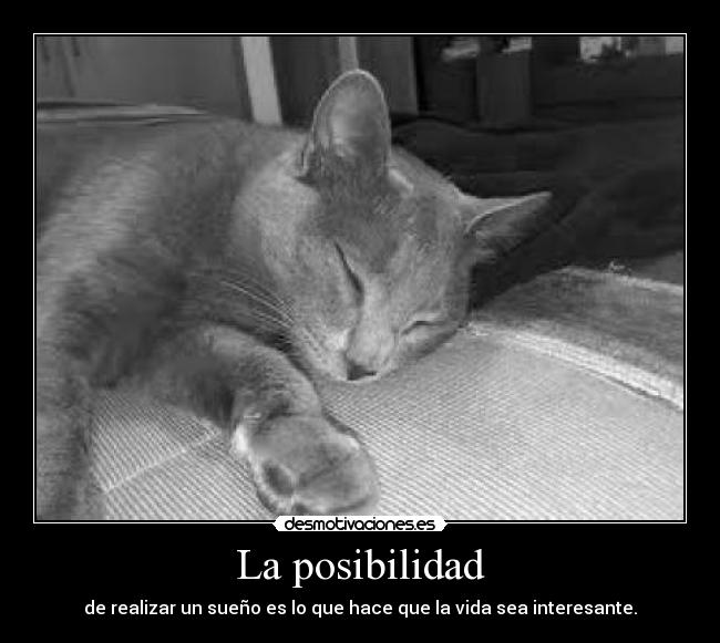 La posibilidad - de realizar un sueño es lo que hace que la vida sea interesante.