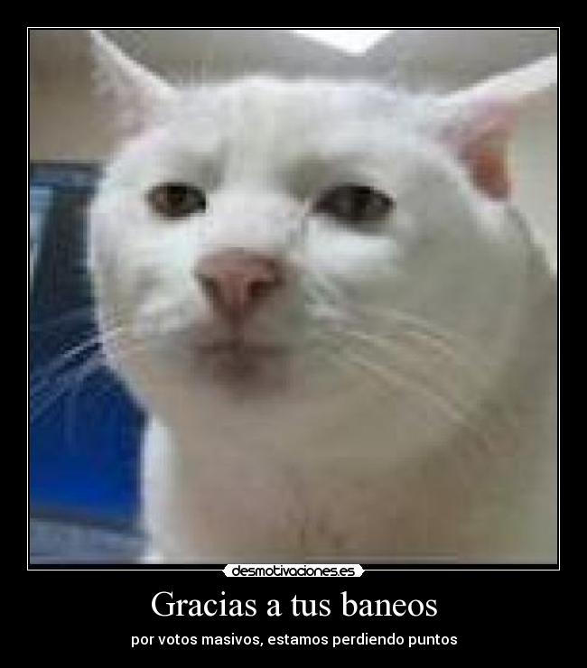 Gracias a tus baneos -