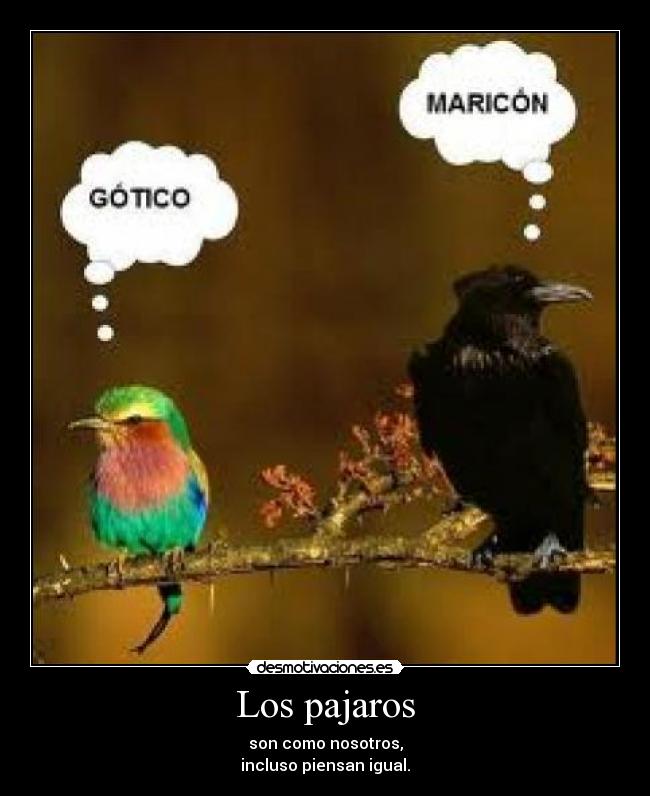 Los pajaros -