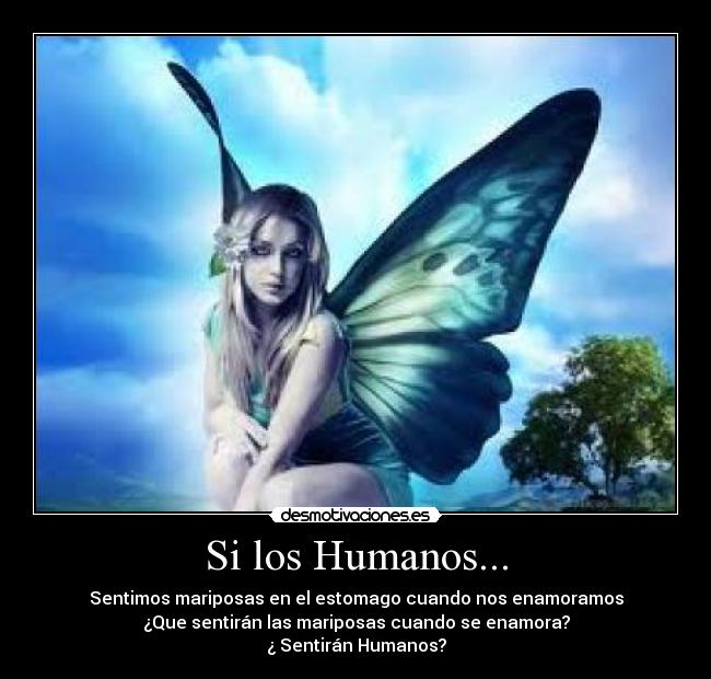 Si los Humanos... - Sentimos mariposas en el estomago cuando nos enamoramos
¿Que sentirán las mariposas cuando se enamora?
¿ Sentirán Humanos?
