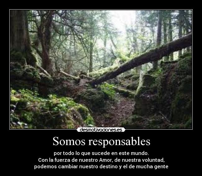 Somos responsables - por todo lo que sucede en este mundo.
Con la fuerza de nuestro Amor, de nuestra voluntad,
podemos cambiar nuestro destino y el de mucha gente