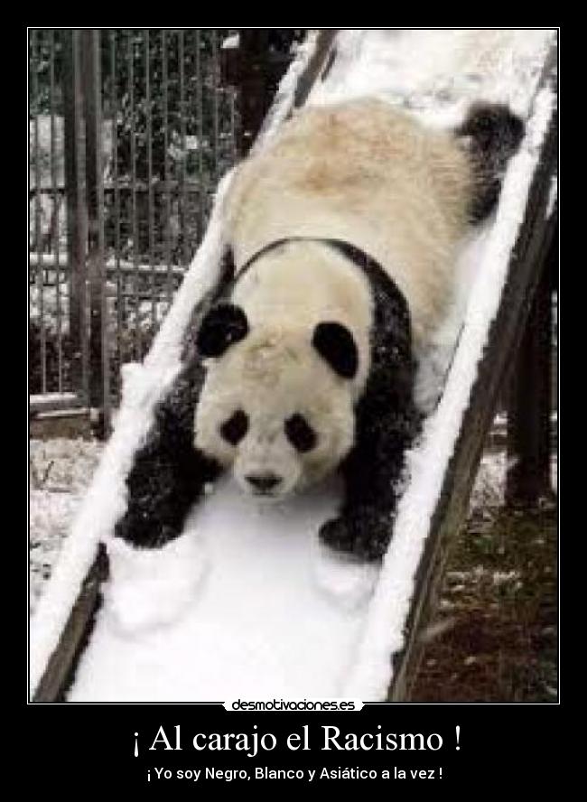 ¡ Al carajo el Racismo ! - ¡ Yo soy Negro, Blanco y Asiático a la vez !