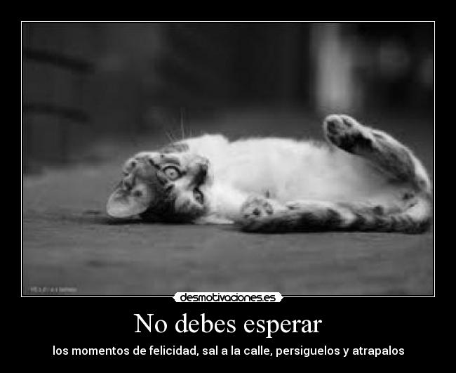 No debes esperar - los momentos de felicidad, sal a la calle, persiguelos y atrapalos