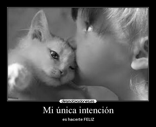 Mi única intención - es hacerte FELIZ