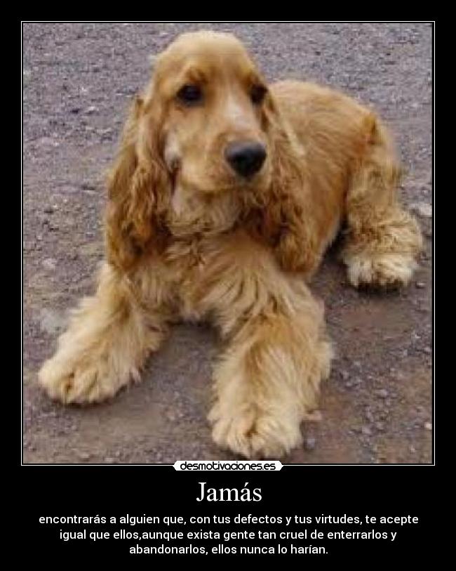 Jamás -