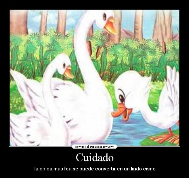 Cuidado - 