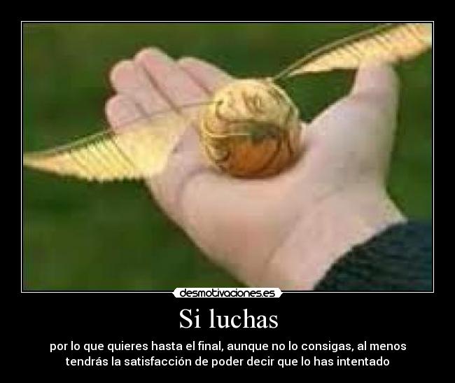Si luchas - por lo que quieres hasta el final, aunque no lo consigas, al menos
tendrás la satisfacción de poder decir que lo has intentado