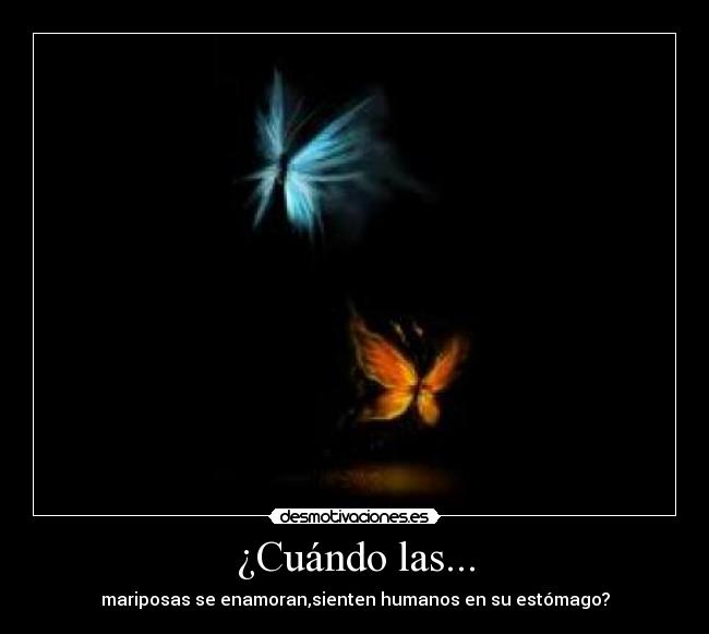 ¿Cuándo las... - mariposas se enamoran,sienten humanos en su estómago?