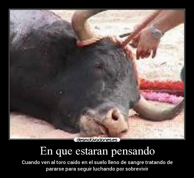 En que estaran pensando -