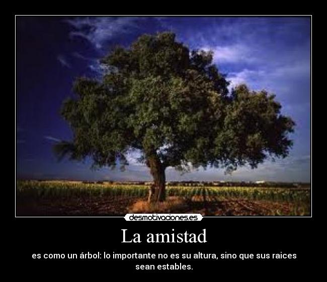 La amistad - es como un árbol: lo importante no es su altura, sino que sus raices sean estables.