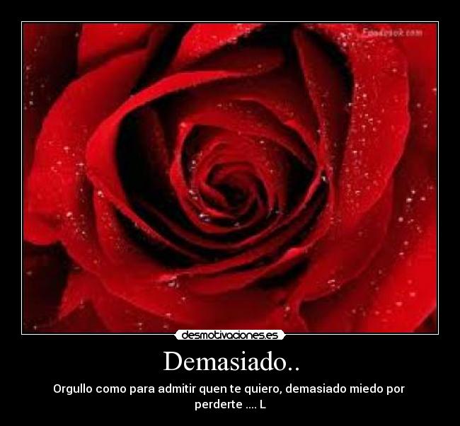 Demasiado.. - Orgullo como para admitir quen te quiero, demasiado miedo por  perderte ....♥L