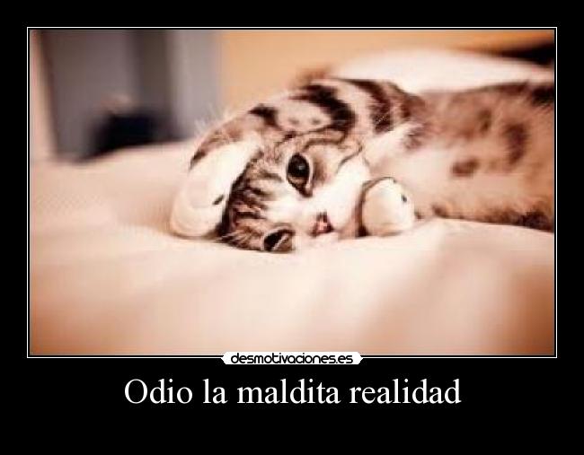 Odio la maldita realidad -