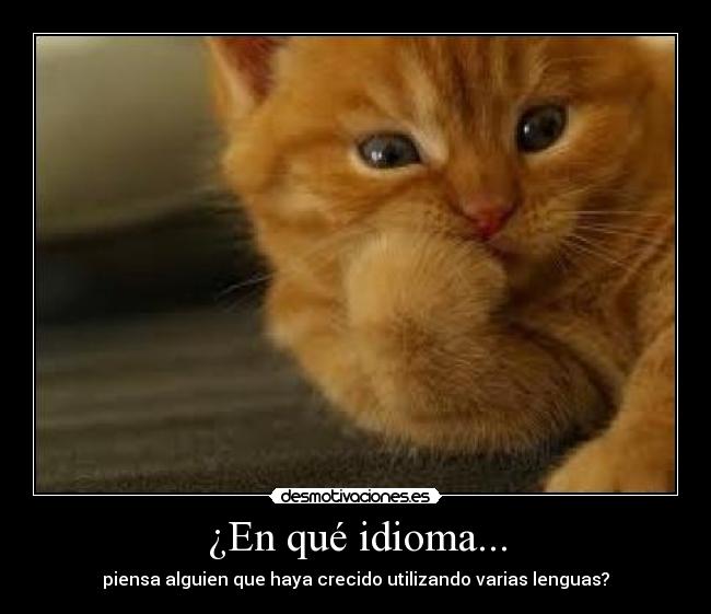 ¿En qué idioma... -