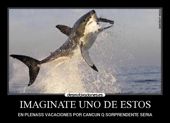 carteles imagen hermosa desmotivaciones