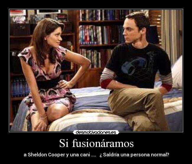 Si fusionáramos - a Sheldon Cooper y una cani .... ¿ Saldría una persona normal?
