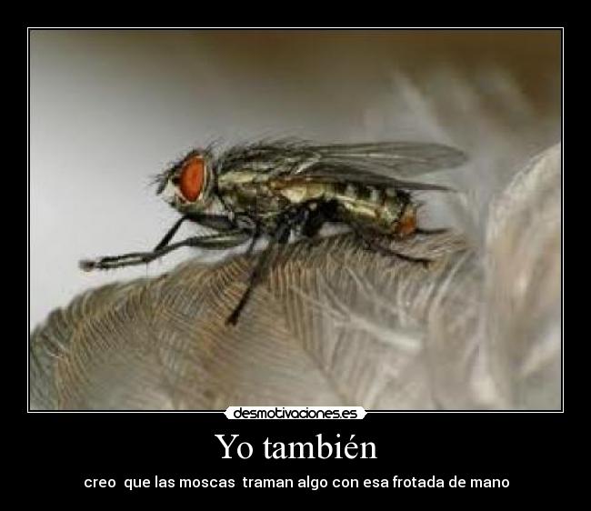 carteles rgvb desmotivaciones