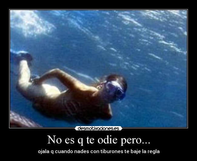 No es q te odie pero... - ojala q cuando nades con tiburones te baje la regla