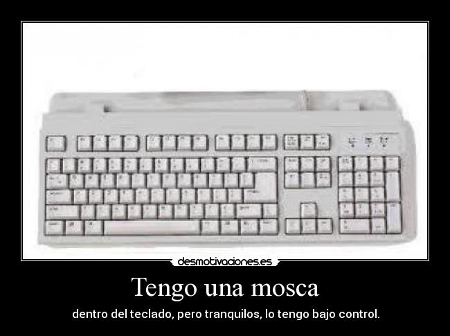 carteles miguel100one llaman mis colegillas desmotivaciones