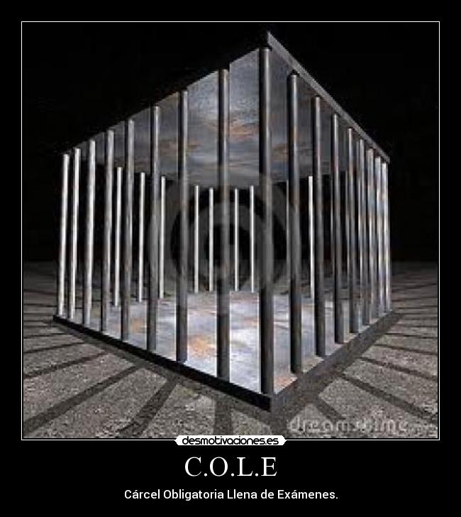 C.O.L.E - 