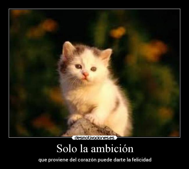 Solo la ambición - que proviene del corazón puede darte la felicidad