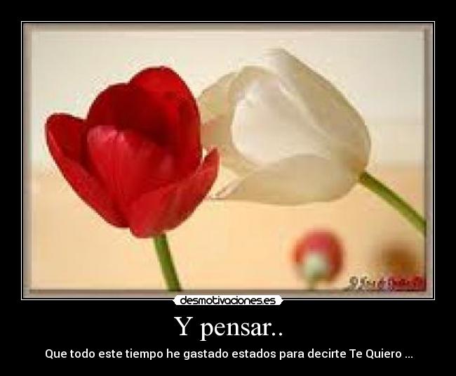 Y pensar.. - 