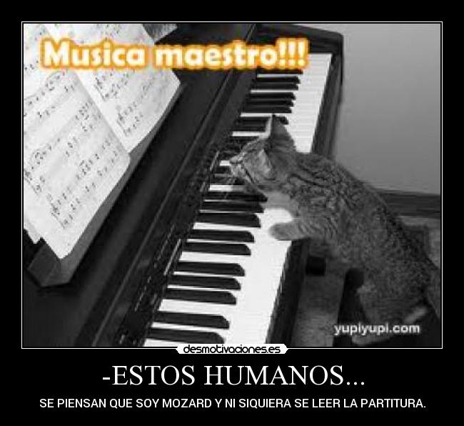 -ESTOS HUMANOS... -