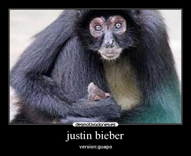 justin bieber -