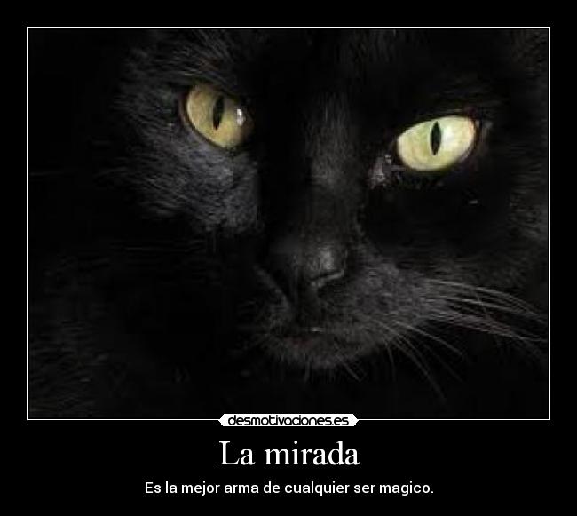 La mirada - Es la mejor arma de cualquier ser magico.