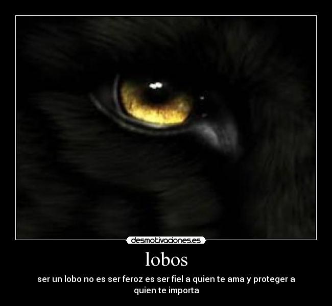 lobos -
