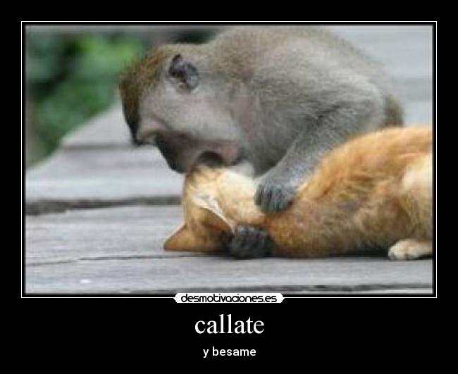 callate - y besame