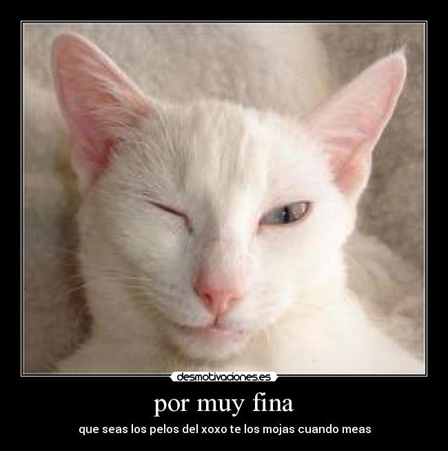 carteles por muy fina desmotivaciones