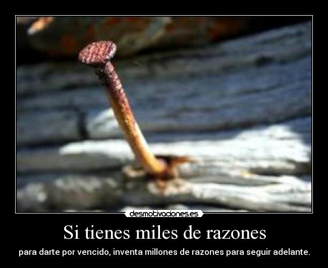 Si tienes miles de razones - para darte por vencido, inventa millones de razones para seguir adelante.