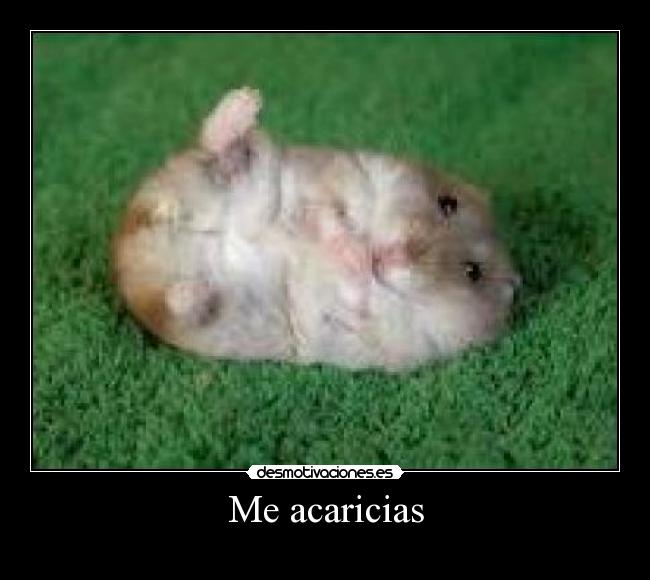 Me acaricias -