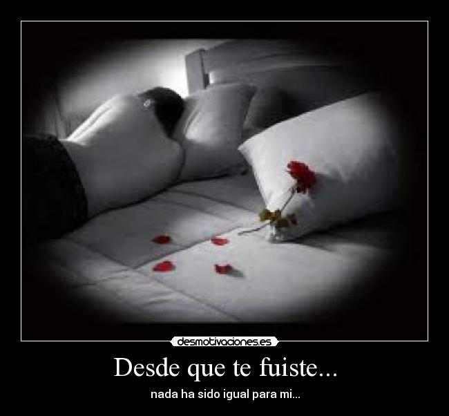 Desde que te fuiste... - nada ha sido igual para mi...