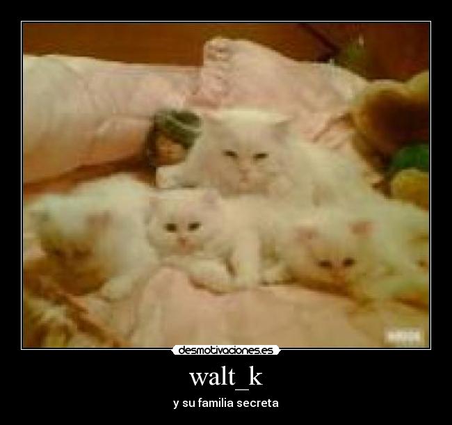 walt_k - y su familia secreta