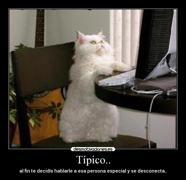 Típico.. - al fin te decidís hablarle a esa persona especial y se desconecta..