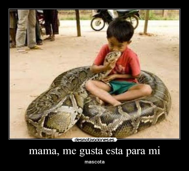 mama, me gusta esta para mi - 