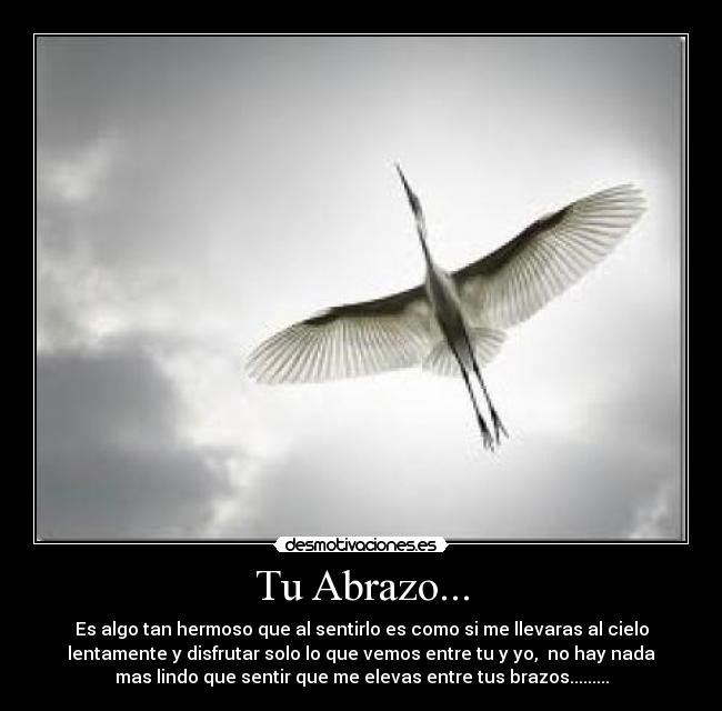 Tu Abrazo... - 